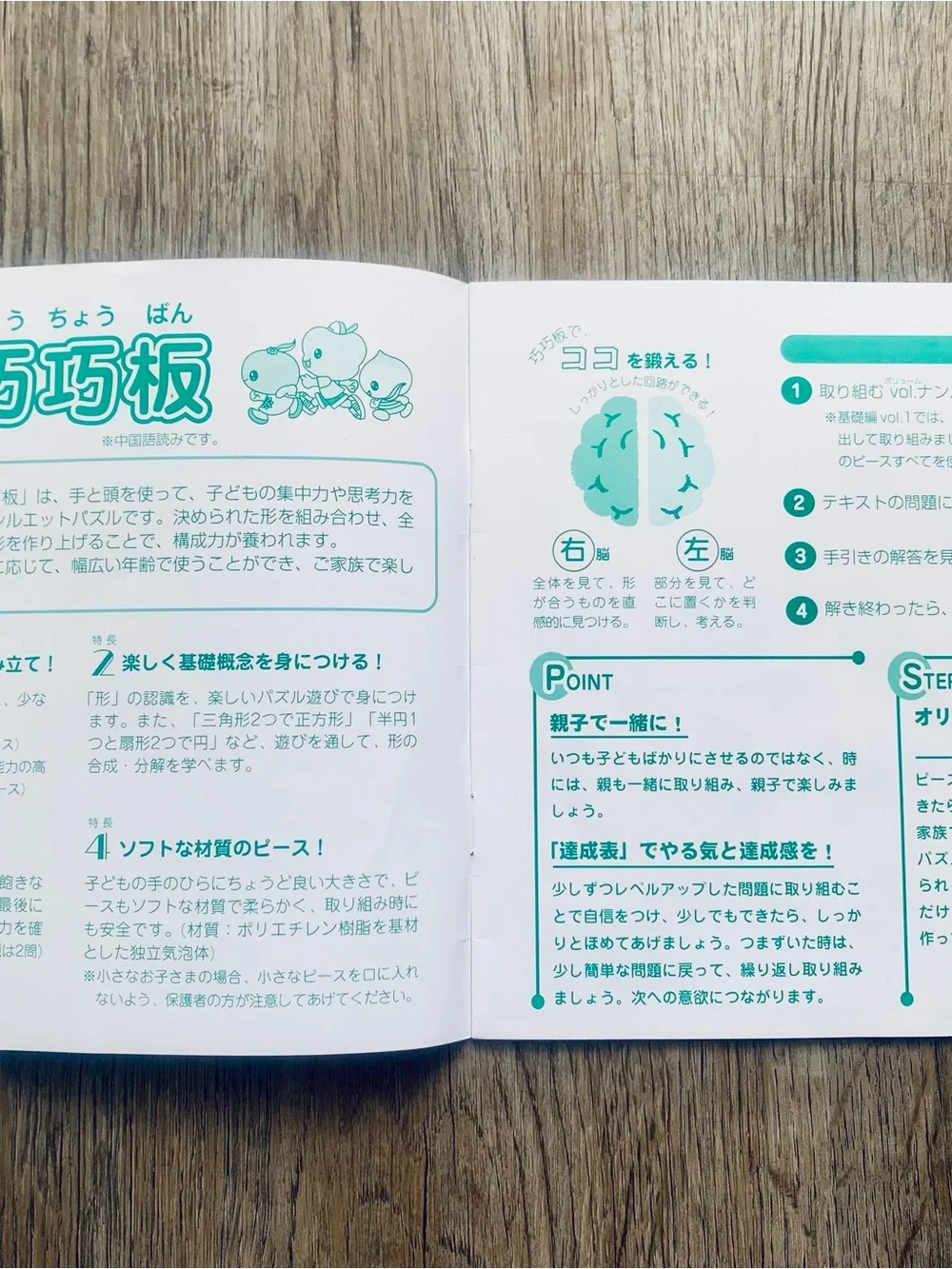 Shichida Silhouette Puzzle Cho Cho Ban concentration thinking skills creativity